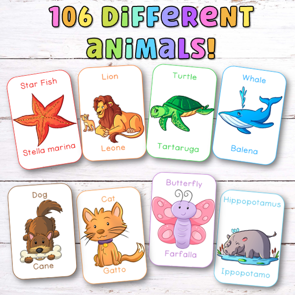 Italian Animal Flashcards