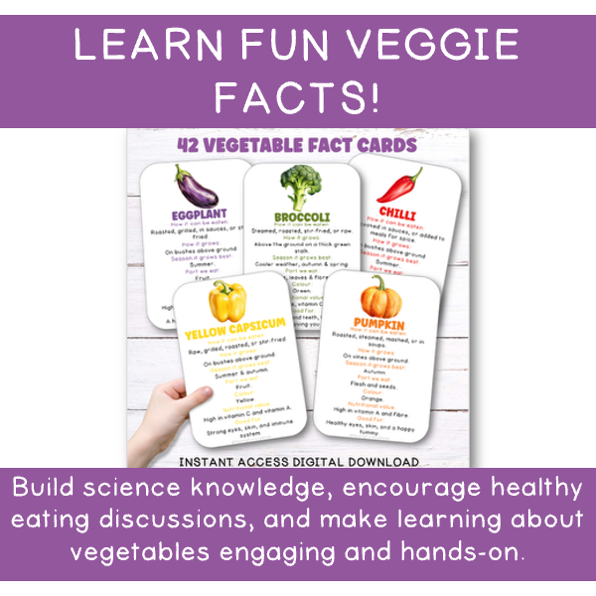 Veggie Explorer Bundle