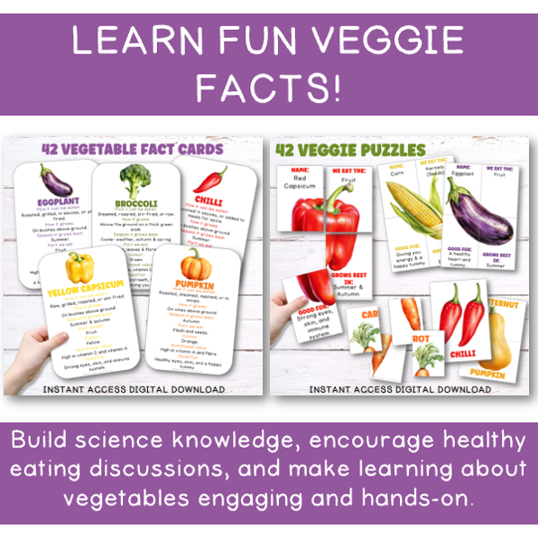Veggie Explorer Bundle