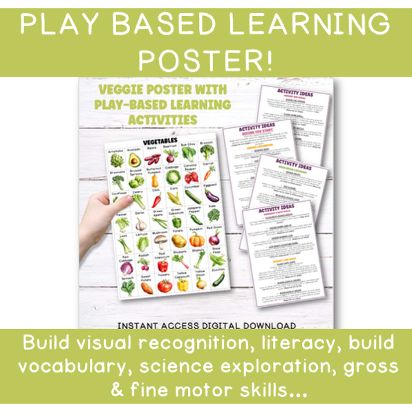Veggie Explorer Bundle
