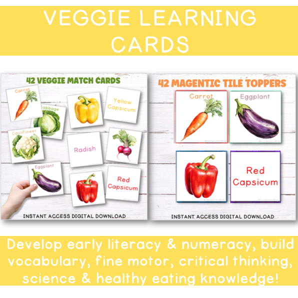 Veggie Explorer Bundle
