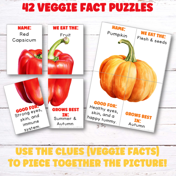 Vegetable Fact Puzzles