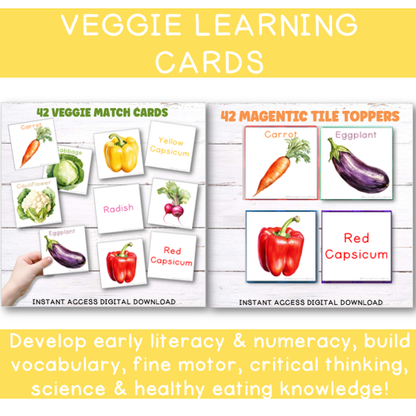 Veggie Explorer Bundle